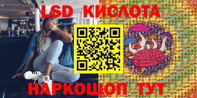 прущие грибы Ставрополь