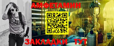 прущие грибы Ставрополь