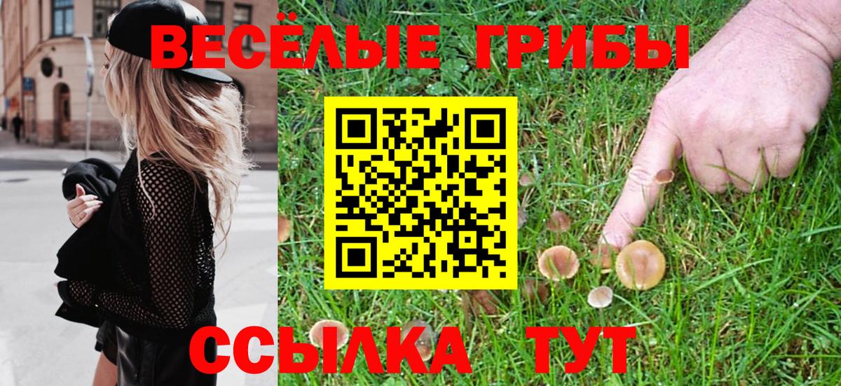 Псилоцибиновые грибы Magic Shrooms  Вход с VPN  Партизанск 