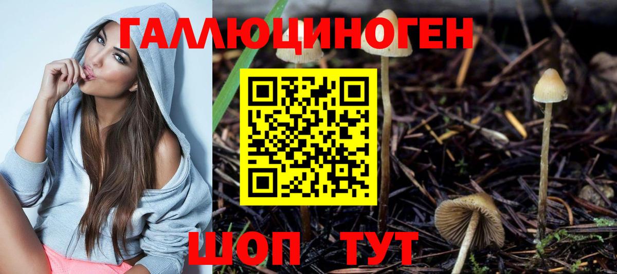Галлюциногенные грибы Партизанск