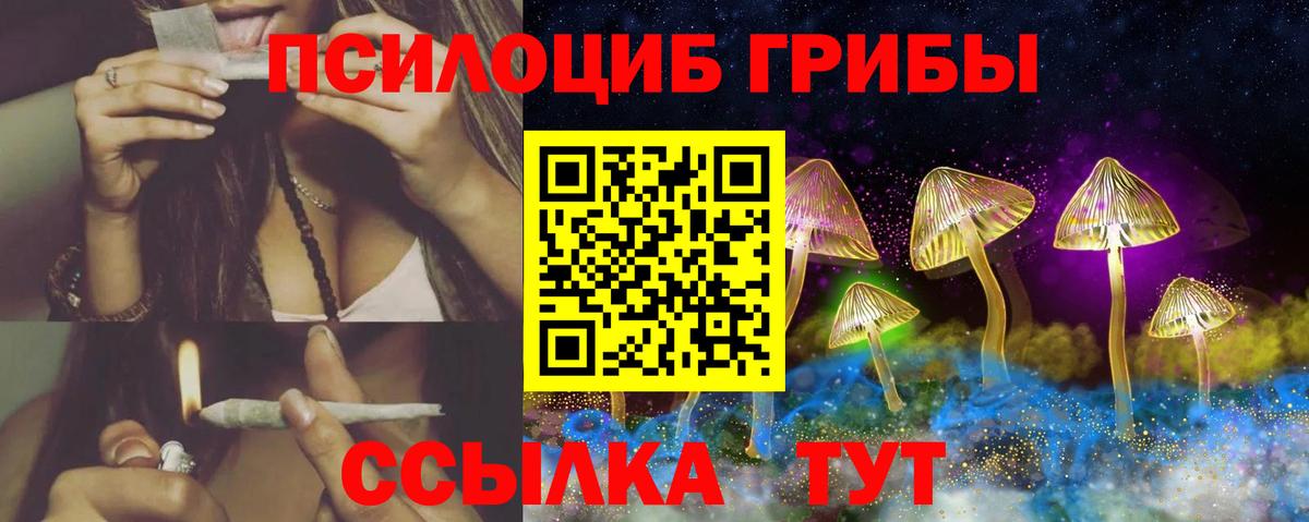 Псилоцибиновые грибы Cubensis Партизанск